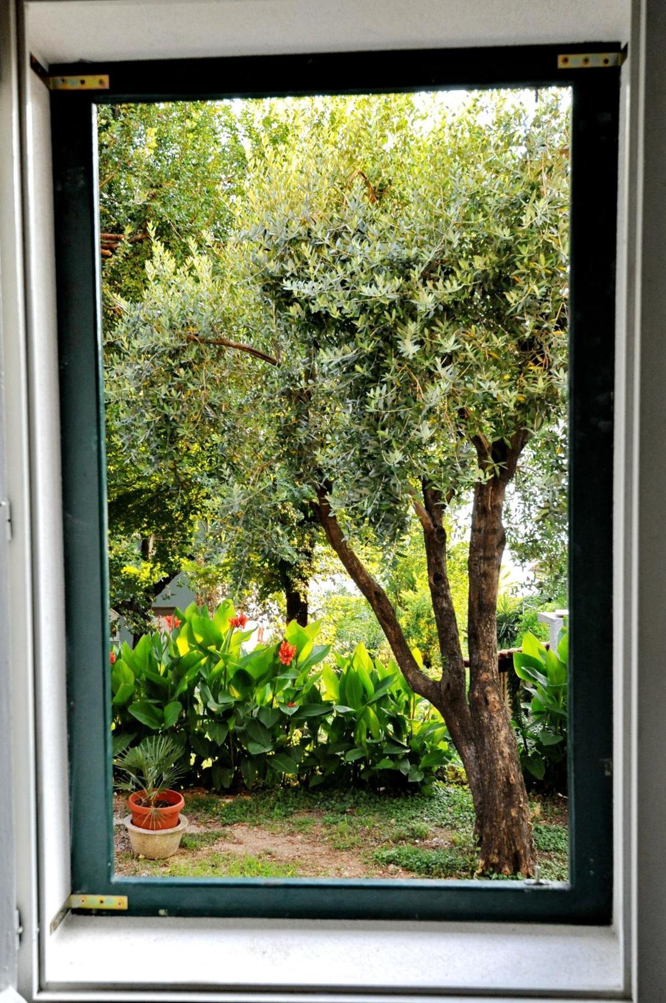 Kriva Ulica Apartment
