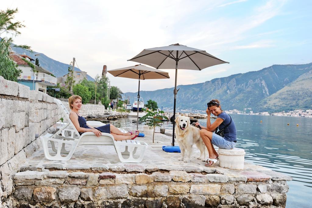 Kriva Ulica * Kotor